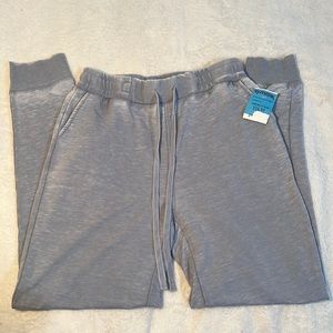Jane and Delancey Joggers; Size XS (juniors); color: Ash Blue